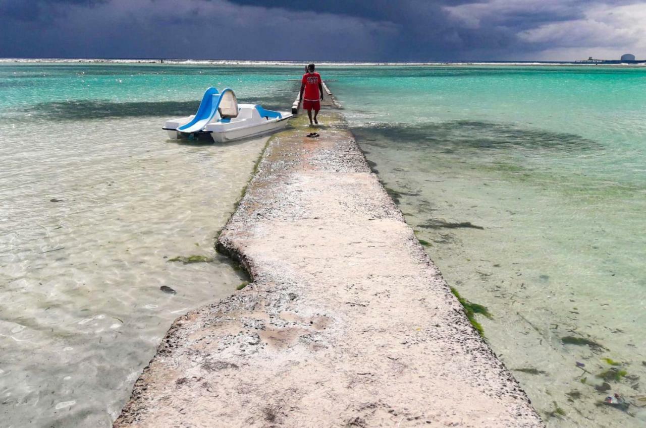 Parco Del Caribe Daire Boca Chica Dış mekan fotoğraf